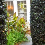 Sarah and Luke’s Wedding 173 Carlyle House Historic Downtown Norcross Sarah and Luke’s Wedding 173 Carlyle House Historic Downtown Norcross