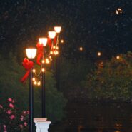 Holiday Parties 2022 173 Carlyle House Historic Downtown Norcross Holiday Parties 2022 173 Carlyle House Historic Downtown Norcross