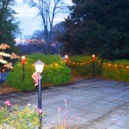 Holiday Parties 2022 173 Carlyle House Historic Downtown Norcross Holiday Parties 2022 173 Carlyle House Historic Downtown Norcross