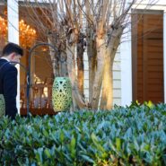 Riley and Toby's Wedding 173 Carlyle House Historic Downtown Norcross Riley and Toby's Wedding 173 Carlyle House Historic Downtown Norcross