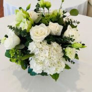 Riley and Toby's Wedding 173 Carlyle House Historic Downtown Norcross Riley and Toby's Wedding 173 Carlyle House Historic Downtown Norcross