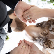 Erin and Michael's Wedding 173 Carlyle House Historic Downtown Norcross Erin and Michael's Wedding 173 Carlyle House Historic Downtown Norcross