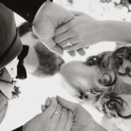 Erin and Michael's Wedding 173 Carlyle House Historic Downtown Norcross Erin and Michael's Wedding 173 Carlyle House Historic Downtown Norcross