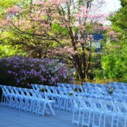 Aleah and Matthew's Wedding 173 Carlyle House Historic Downtown Norcross Aleah and Matthew's Wedding 173 Carlyle House Historic Downtown Norcross