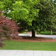 Kaitlyn and Holden's Wedding 173 Carlyle House Historic Downtown Norcross Kaitlyn and Holden's Wedding 173 Carlyle House Historic Downtown Norcross