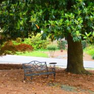 Kaitlyn and Holden's Wedding 173 Carlyle House Historic Downtown Norcross Kaitlyn and Holden's Wedding 173 Carlyle House Historic Downtown Norcross