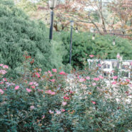 Katherine and Stone's Wedding 173 Carlyle House Historic Downtown Norcross Katherine and Stone's Wedding 173 Carlyle House Historic Downtown Norcross