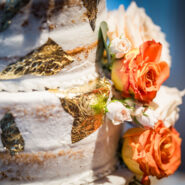 Ashley and Matthew's Wedding 173 Carlyle House Historic Downtown Norcross Ashley and Matthew's Wedding 173 Carlyle House Historic Downtown Norcross