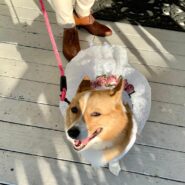 Susan and Earlvin's Wedding 173 Carlyle House Historic Downtown Norcross Susan and Earlvin's Wedding 173 Carlyle House Historic Downtown Norcross