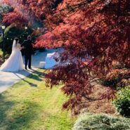 Susan and Earlvin's Wedding 173 Carlyle House Historic Downtown Norcross Susan and Earlvin's Wedding 173 Carlyle House Historic Downtown Norcross