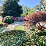 Kaela and Nathan's Wedding 173 Carlyle House Historic Downtown Norcross Kaela and Nathan's Wedding 173 Carlyle House Historic Downtown Norcross