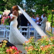 Alexis and Darrius's Wedding 173 Carlyle House Historic Downtown Norcross Alexis and Darrius's Wedding 173 Carlyle House Historic Downtown Norcross