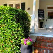 Alexis and Darrius's Wedding 173 Carlyle House Historic Downtown Norcross Alexis and Darrius's Wedding 173 Carlyle House Historic Downtown Norcross