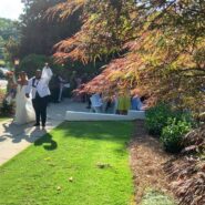 Alexis and Darrius's Wedding 173 Carlyle House Historic Downtown Norcross Alexis and Darrius's Wedding 173 Carlyle House Historic Downtown Norcross