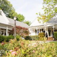 Jadine and Shay's Wedding 173 Carlyle House Historic Downtown Norcross Jadine and Shay's Wedding 173 Carlyle House Historic Downtown Norcross